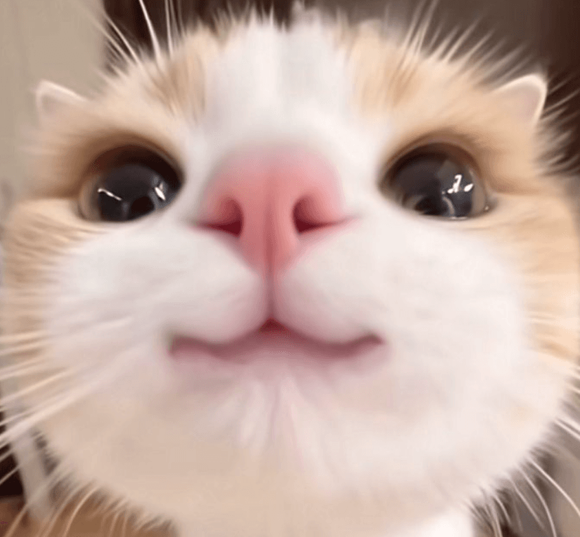 Aperçu du tableau de bord